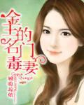 系统小说完结