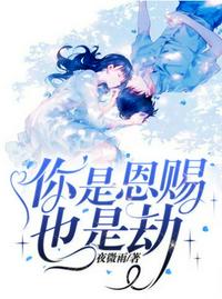 百宝袋汉化