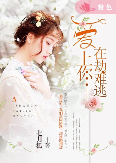 bt岛最好用的磁力搜索引擎