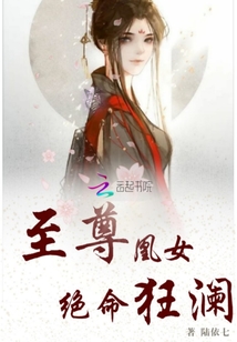 风骚律师