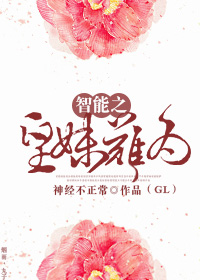 杨家将外传