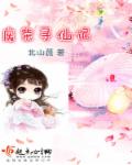 鸡毛飞上天免费全集