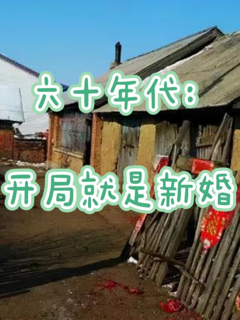 辛德拉