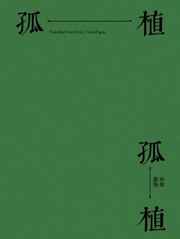 西城往事小说