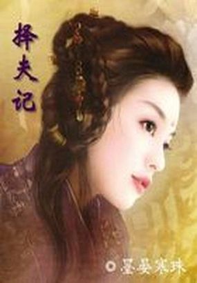 傅沉宋风晚小说