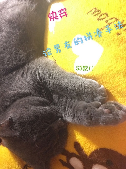 出包王女小说