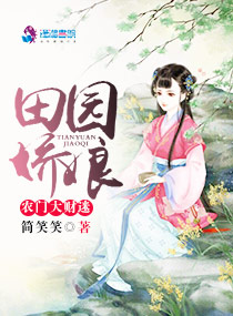 女局长之权征途