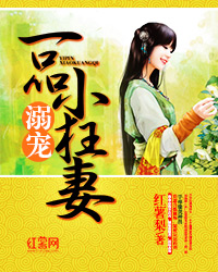 杨钰莹小说