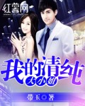 种子猫
