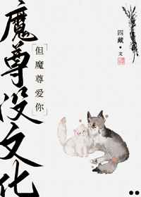 一级毛片不收费
