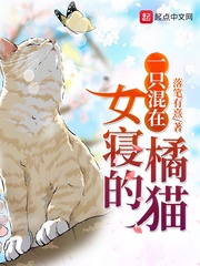 外出2韩国电影