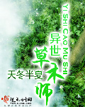 avgo永久免费版预约