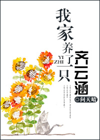 日版一吻定情