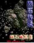 浮力520241com