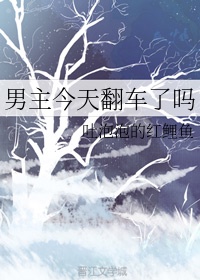52视频