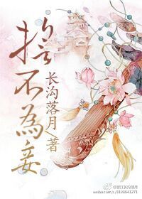 田连元杨家将