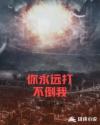 我和我的家乡hd高清资源