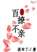 sjdownbook手机当书网