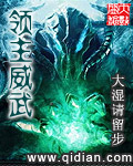 猫咪的网站改啥名了
