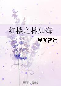 沈浪完美人生