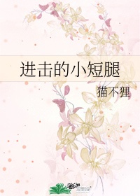 bongocat官网