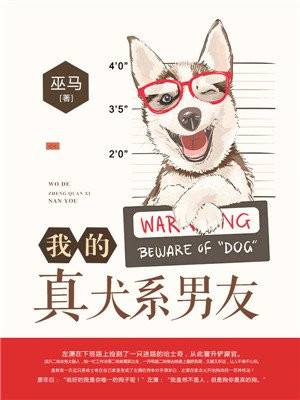 他似火全文阅读