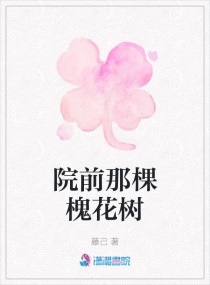 中文字幕在线2024一区