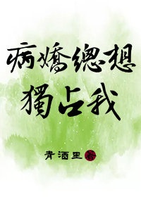 重生之夏日倾情