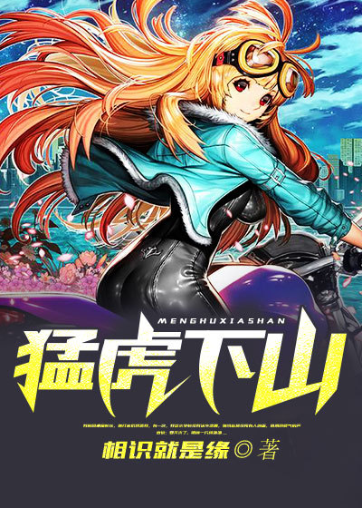 japan hdv povn vides