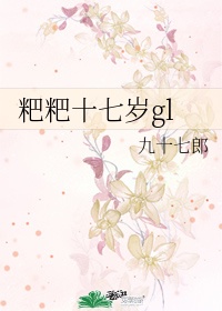 我的儿子比老公的大