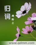 愿赌服输夜蔓
