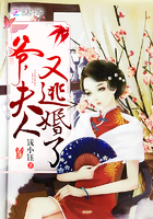 又爽又黄无遮挡高清免费视频