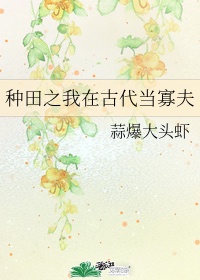 海贼王的假期4.0