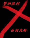 金钢进化txt下载