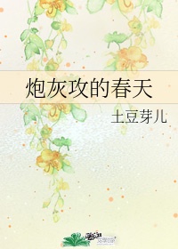 我终于不再爱你了小说