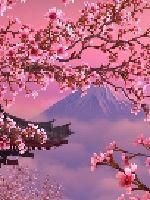 sky电影快捷指令