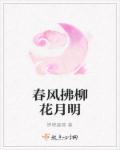 开心丁五香月