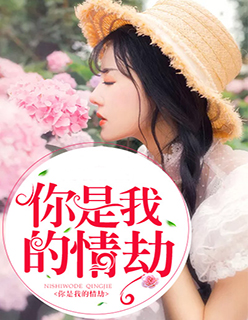 成年视频网站免费观看