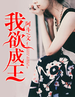 圣痕炼金术士在线观看