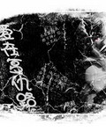 华裔张丽黑人在线播放