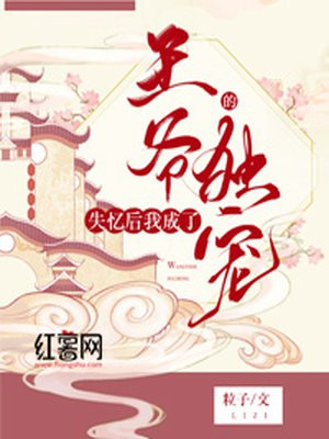 妈妈的朋友小说