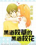 3344成年站福利在线视频免费