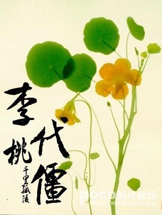 美女大秀直播app下载