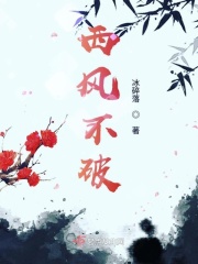 中国一级黄电视片
