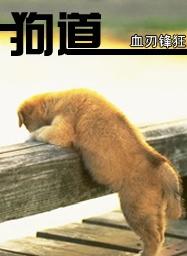 李歌洋