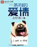 远大前程第二部