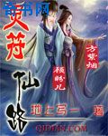 yazi网站