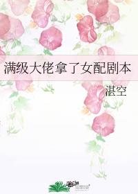 svipvb.com