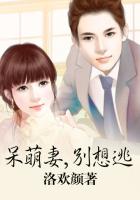 杨文书小说