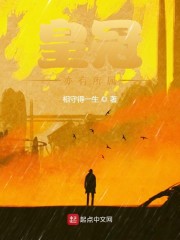 龙腾小说城公交车系列